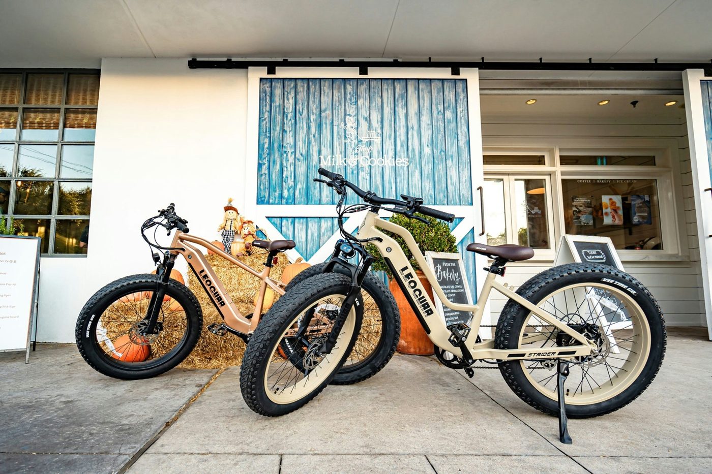 Pair of fat-tire and step-through comfort e-bikes parked outside a storefront